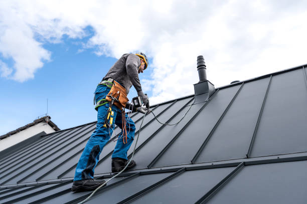 Best Roof Maintenance and Cleaning  in Lamar, SC